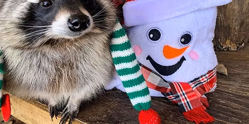 Market On River Holiday Event!