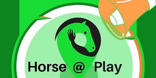 Horse Riding Adventure and lessons