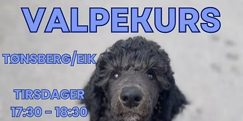 Valpekurs T\u00f8nsberg\/Eik tirsdager
