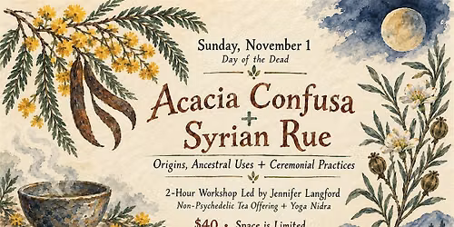The Memory of Plants: Acacia Confusa + Syrian Rue