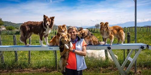 Stage Agility avec Agn\u00e8s Berthe - 9 PLACES