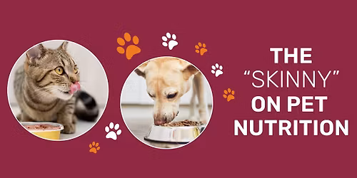The "Skinny" on Pet Nutrition