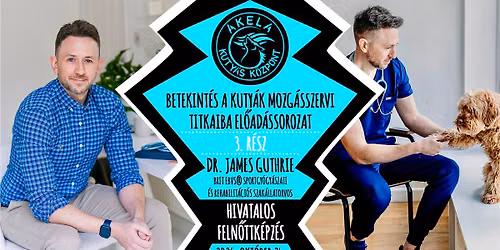 DR. JAMES GUTHRIE BRIT EBVS\u00ae SEB\u00c9SZETI SPECIALISTA - BETEKINT\u00c9S A KUTY\u00c1K MOZG\u00c1SSZERVI TITKAIBA 3.