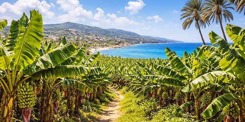 Cypr - plantacje banan\u00f3w i b\u0142\u0119kitna laguna