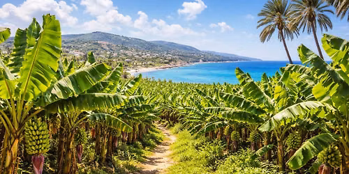 Cypr - plantacje banan\u00f3w i b\u0142\u0119kitna laguna