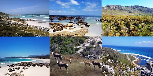 \ud83c\udf3f9 Spots Left! Cape Point Platboom Beach to Gifkommetjie Beach, Epics Views & a Optional Swim spot