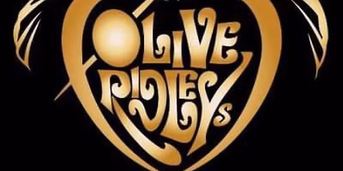 Brandon Frenyea @Olive Ridley\u2019s 