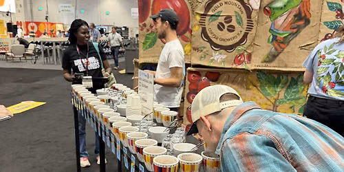 Coffee Tasting