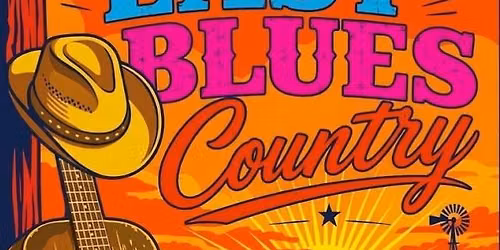Easy Blues Country live at the Ark