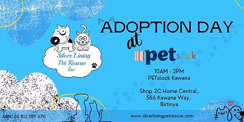 Adoption Day at PETstock Kawana