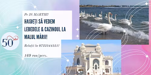 A venit prim\u0103vara! Haide\u021bi s\u0103 vedem lebedele& cazinoul la malul m\u0103rii cu Comunitatea 50 Plus!