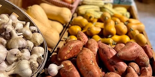 Thanksgiving Farmers Market and Food Drive