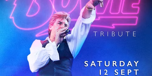 Aladdinsane - The Sound & Vision of Bowie tribute: Norwich