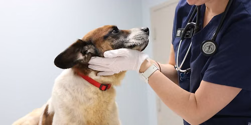 Low-Cost Roswell Vaccine Clinic