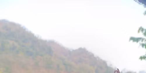 Akhanda Yoga Retreat \ud83e\udde1