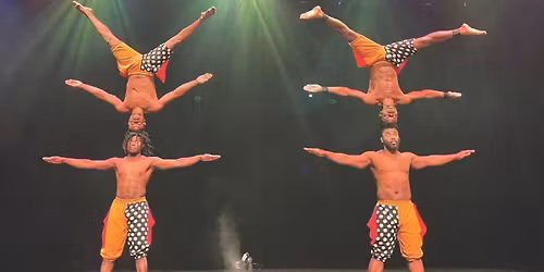 Tanzanite African Acrobats