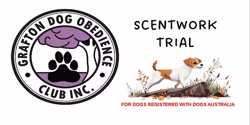 Grafton Dog Obedience Club - Scent work Trial