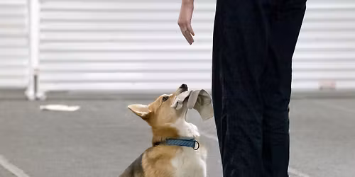 Trial Preparation Seminars with Laura Waudby