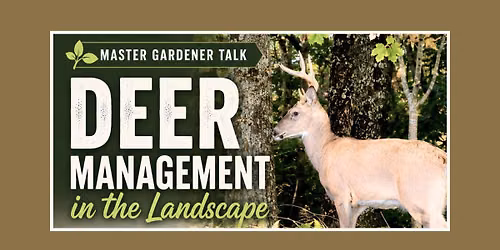 Deer Management in the Landscape - with Judy Merrifield