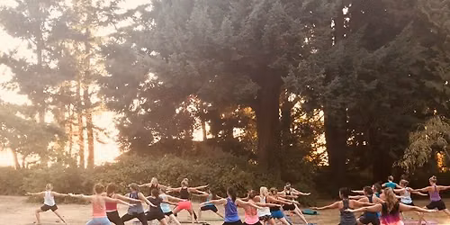 Outdoor Yoga - Sunday Cider