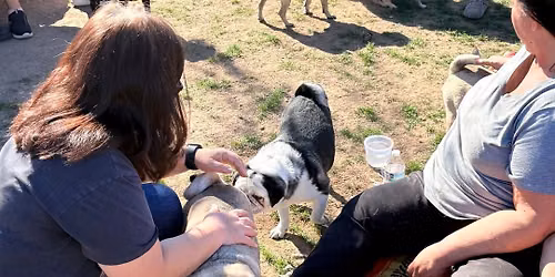 Pug Sunday 6\/28