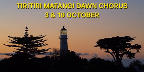 Tiritiri Matangi Dawn Chorus 03 & 10 October