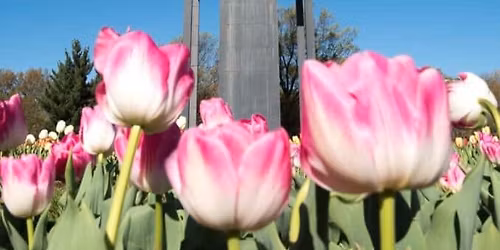 District Language Exchange at the Netherlands Carillon (Arlington)