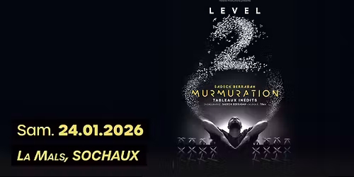 Murmuration - Level 2 - Sochaux