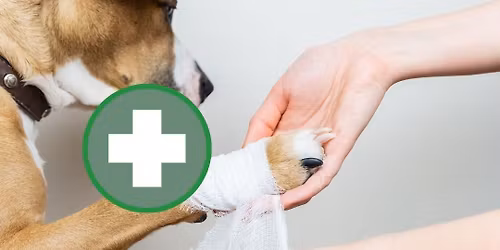Riber Pets Duffield - Pet Owner Canine First Aid Course
