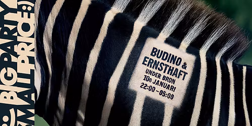 Big Party Small Price #7