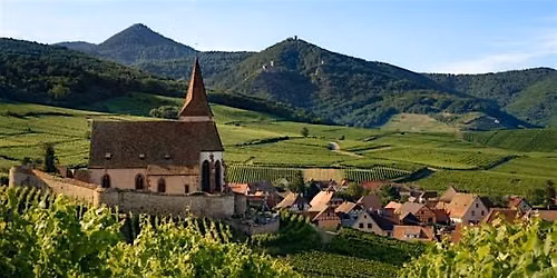 Exploring Alsace With Winemaker Sophie Schaal