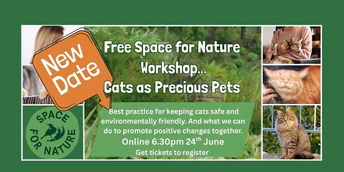 Cats as Precious Pets