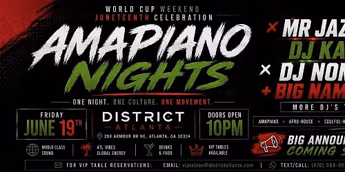 Amapiano Nights