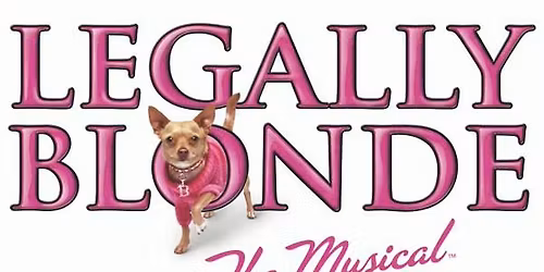 LEGALLY BLONDE MUSICAL AUDITIONS 