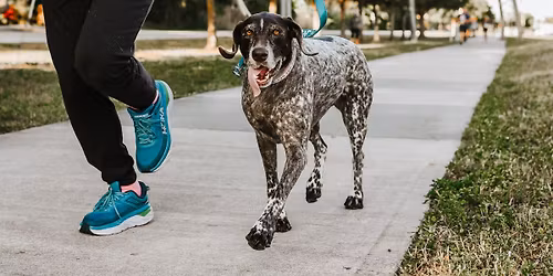 PBHSN Run for the Paws 5k