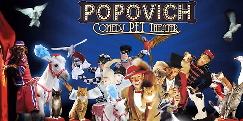 Popovich Comedy Pet Theater