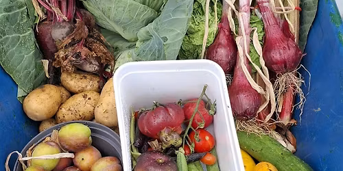 Open day at St Annes Allotments, Raheny, St Annes Park, Dublin.