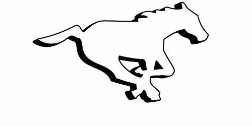 Calgary Stampeders vs. Edmonton Elks