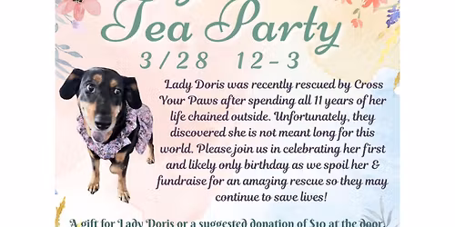Lady Doris's Tea Party