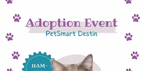 Adoption Event at PetSmart 