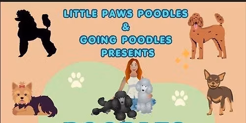Poodles and Coffee