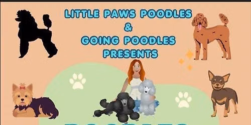 Poodles and Coffee