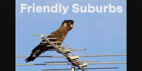 Creating Black-Cockatoo Friendly Suburbs and Garden - with Christine Groom