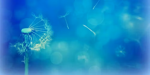 Whispers on the Wind Shamanic Program