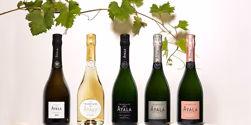 Champagnemingel med Ayala