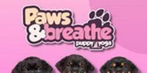 Puppy yoga Birmingham