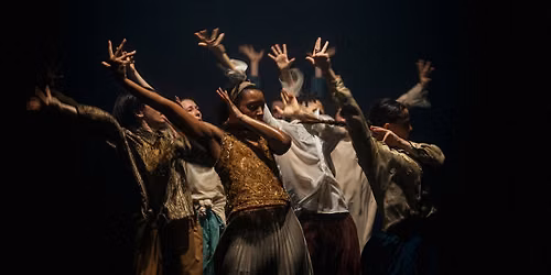 HOFESH SHECHTER - IN THE BRAIN