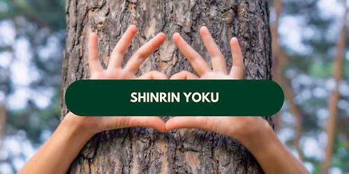 Shinrin Yoku \u2013 GRATUIT 