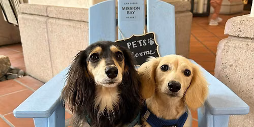 Yappy Hour, Dog Costume Contest & Mixology Demonstration