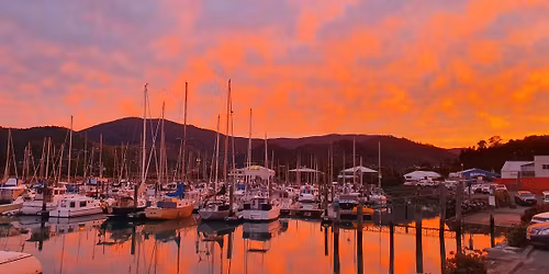 Roast dinner, Christmas edition- every weekend